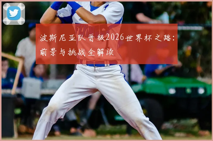波斯尼亚队晋级2026世界杯之路：前景与挑战全解读